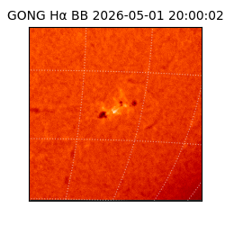 gong - 2026-05-01T20:00:02