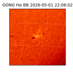 gong - 2026-05-01T22:06:02