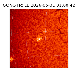 gong - 2026-05-01T01:00:42