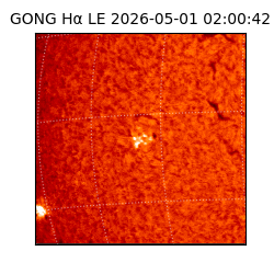 gong - 2026-05-01T02:00:42