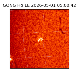 gong - 2026-05-01T05:00:42