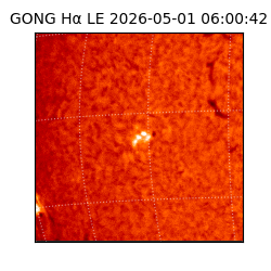 gong - 2026-05-01T06:00:42