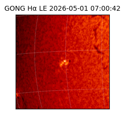 gong - 2026-05-01T07:00:42