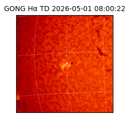 gong - 2026-05-01T08:00:22
