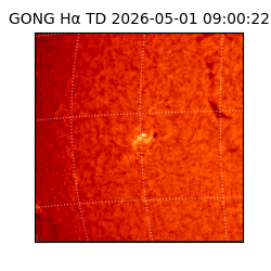 gong - 2026-05-01T09:00:22