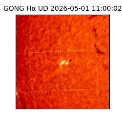gong - 2026-05-01T11:00:02