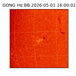 gong - 2026-05-01T16:00:02