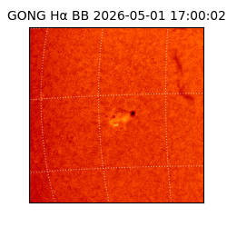 gong - 2026-05-01T17:00:02