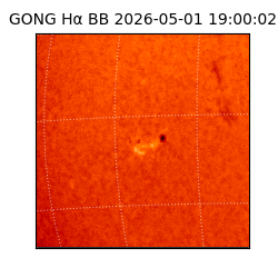 gong - 2026-05-01T19:00:02