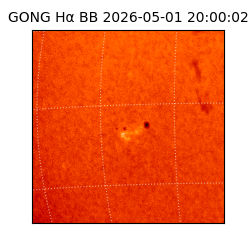 gong - 2026-05-01T20:00:02