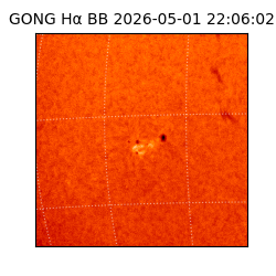 gong - 2026-05-01T22:06:02