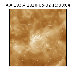 saia - 2026-05-02T19:00:04.842000