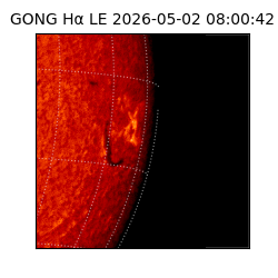 gong - 2026-05-02T08:00:42