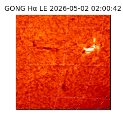 gong - 2026-05-02T02:00:42