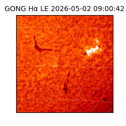 gong - 2026-05-02T09:00:42