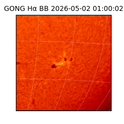 gong - 2026-05-02T01:00:02