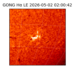 gong - 2026-05-02T02:00:42