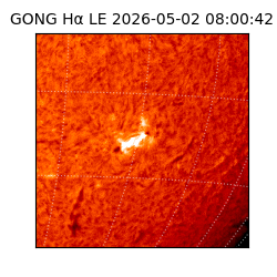 gong - 2026-05-02T08:00:42
