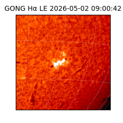 gong - 2026-05-02T09:00:42