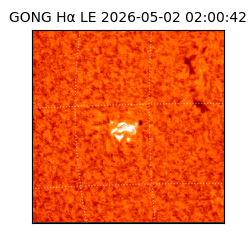 gong - 2026-05-02T02:00:42