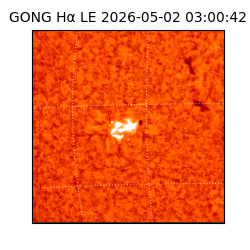 gong - 2026-05-02T03:00:42