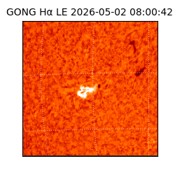 gong - 2026-05-02T08:00:42