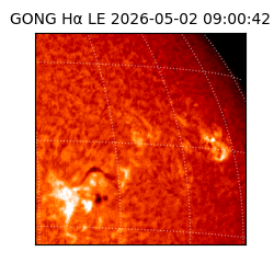 gong - 2026-05-02T09:00:42