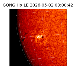 gong - 2026-05-02T03:00:42