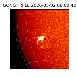 gong - 2026-05-02T08:00:42