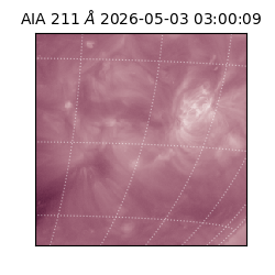 saia - 2026-05-03T03:00:09.623000