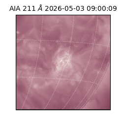 saia - 2026-05-03T09:00:09.624000