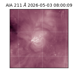 saia - 2026-05-03T08:00:09.623000