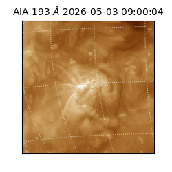 saia - 2026-05-03T09:00:04.842000