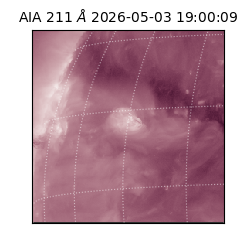 saia - 2026-05-03T19:00:09.623000