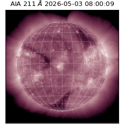 saia - 2026-05-03T08:00:09.623000