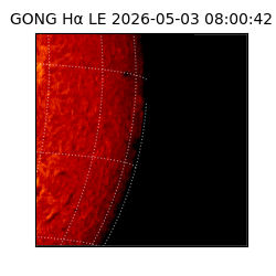 gong - 2026-05-03T08:00:42