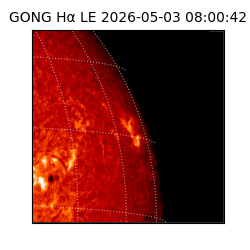gong - 2026-05-03T08:00:42