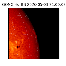 gong - 2026-05-03T21:00:02