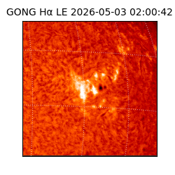 gong - 2026-05-03T02:00:42