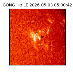 gong - 2026-05-03T05:00:42