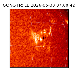 gong - 2026-05-03T07:00:42