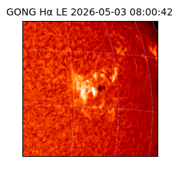 gong - 2026-05-03T08:00:42