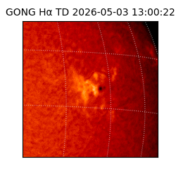 gong - 2026-05-03T13:00:22
