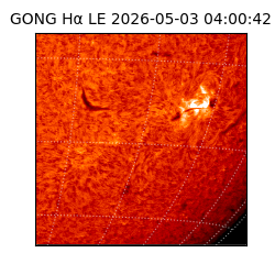 gong - 2026-05-03T04:00:42