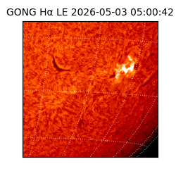 gong - 2026-05-03T05:00:42
