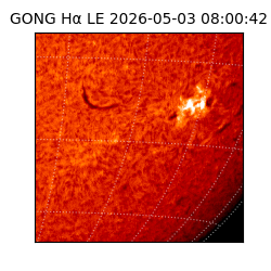 gong - 2026-05-03T08:00:42