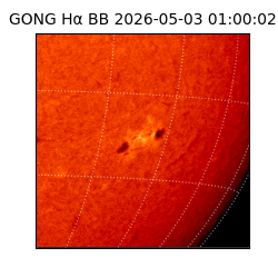 gong - 2026-05-03T01:00:02