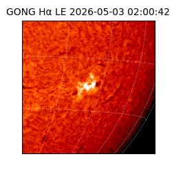 gong - 2026-05-03T02:00:42