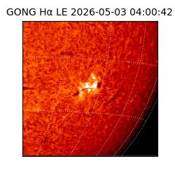 gong - 2026-05-03T04:00:42