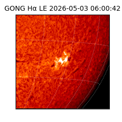 gong - 2026-05-03T06:00:42